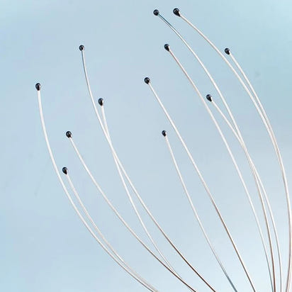 Octopus Head Relaxer